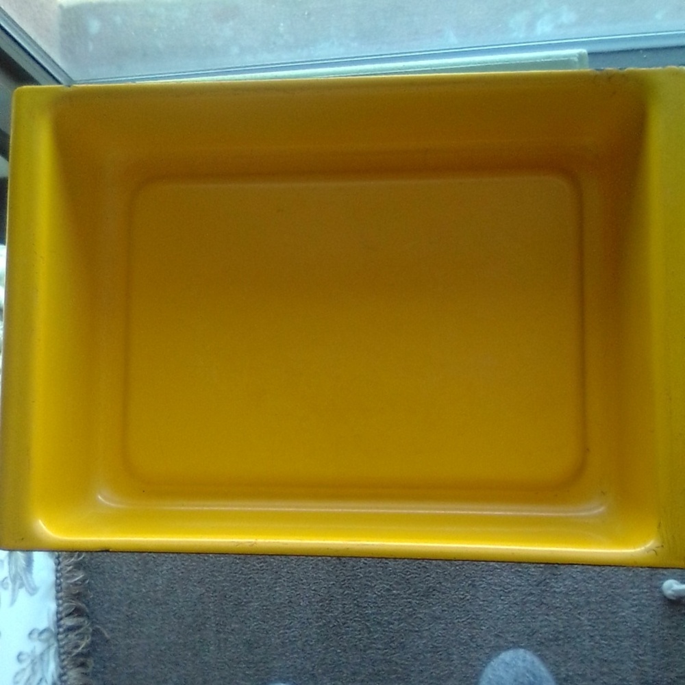 Baking pan with Pyrex insulated carrying case